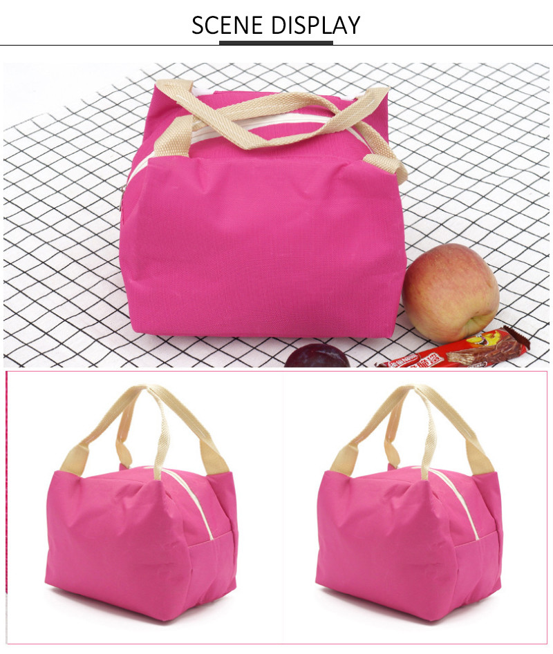 PVC free L20*D15cm Insulated Thermal Lunch Box