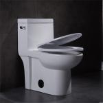1 One Piece Elongated Toilet 15" Height Ceramic Wc Syphon Seamless Porcelain