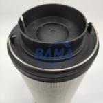 Industrial Hydraulic Oil Filter Element 0950R010BN4HC/0950R010BNHC/1263041 by