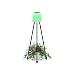 0.2W Solar Christmas Decorative Lights 0.3kg Inner Box Size 22*20*40.5CM G.W 1