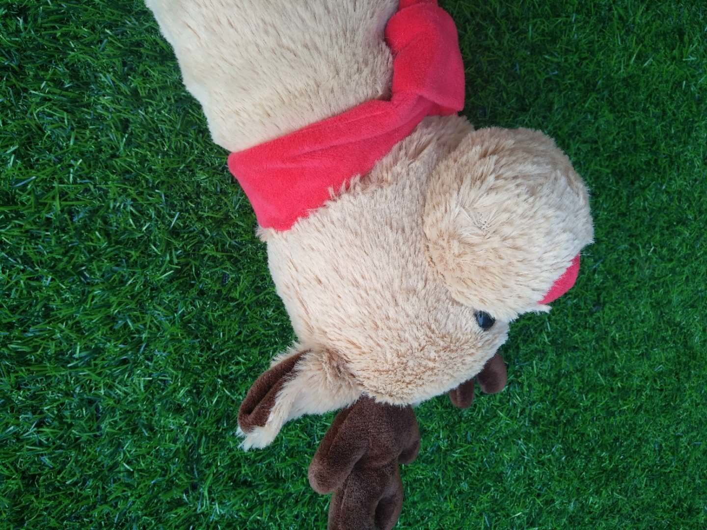 golf head cover , dog head cover , animal head cover , plush head cover , driver head cover