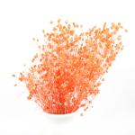 Non Toxic Harmless Preserved Baby Breath Flowers For Ins Valentine Gift