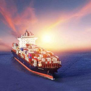 Wholesale Affordable Shipping Agent From To Canada Sea Freight Service For FCL And LCL Shipments from china suppliers