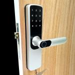 Password 35mm-50mm Tuya Smart Electronic Lock For Home Office