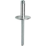 Large Flange Dome Head Aluminum Stainless Steel Pop Blind Rivet for Reliability