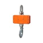 Electronic Small 100 Lb Digital Hanging Scales Precison Aluminum Alloy Case