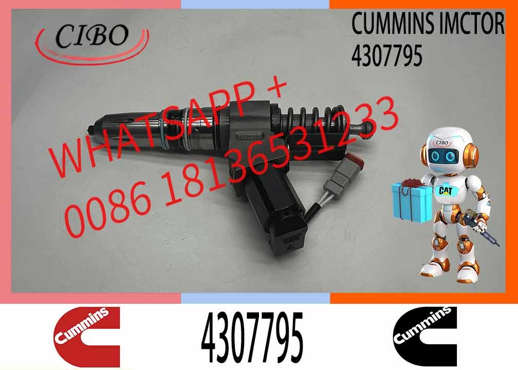 Common Rail Fuel Injector 4307795 3411767 3411759 3411381 For Cummins QSN14 N14 Engine