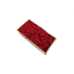 Wholesale Beautiful Preserved Natural Moss For Home Decoration / Indoor Decoration from china suppliers
