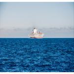 LCL FCL International Sea Cargo Services From China To USA Port