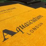 9mm Thickness Custom Logo Mats Anti Slip Commercial Entrance Mats