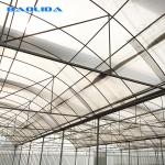 Sunlight Plastic Film Greenhouse / Plastic Sheeting Rolls Greenhouse