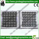 Egg Tray Pulp Mold