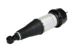 TS16949 Rear Jaguar Air Suspension Kits XJ6 XJ8 XJR C2C41343