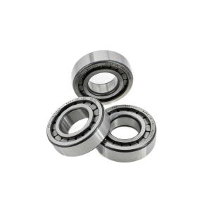Wholesale 70*110*20mm N/NU/NJ/NF1014EM Cylindrical Roller Bearing with Low Friction Coefficient from china suppliers