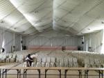 Solid Aluminum Structures Wedding Party Tent In Garden 25 x 75m More Than 500