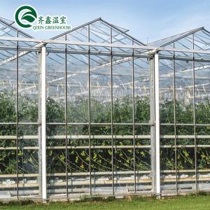 Wholesale Polycarbonate Sheet Aquaponic Tomato Galvanized Steel Pipe For Prefabricated PcTent Greenhouse from china suppliers