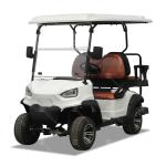 25Mph-40Mph New Energy 2 Seater Golf Cart For Club Leisure Resort