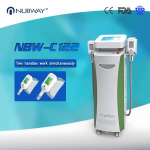 Wholesale Membrane per Criolipolisi Fat Freezing Slimming Machine for Salon from china suppliers