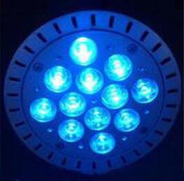 Wholesale Green color 12W PAR38 LED light from china suppliers