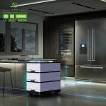 Home Solar System Storage Lifepo4 Lithium Ion Battery 100v 200v 300v 400v 100ah