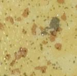 Waterproof Commercial Vinyl Sheet Flooring , Residential Vinyl Flooring Modern