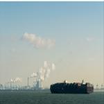 Pallet International Sea Freight Shipping To Worldwide