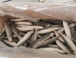 90g 100g IQF Frozen Whole Muroaji Fish HACCP Approved