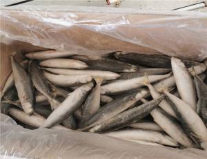 Wholesale 90g 100g IQF Frozen Whole Muroaji Fish HACCP Approved from china suppliers