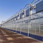 Glass Multi Span Greenhouse Tropical Solar Hydroponic Flower Vegetable Growing