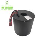 OEM Lithium Ion EV Battery Customized 24V 48V 100Ah 300Ah Deep Cycle