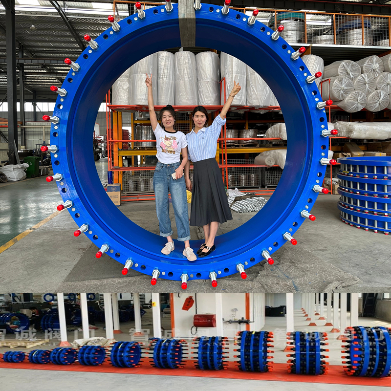 carbon steel dismantling joint assembly in piping Blue Epoxy Coated Butterfly Valve Double Flange Ends