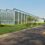 Water Production Agricultural Greenhouse Manufacturer Growing Hydroponic System
