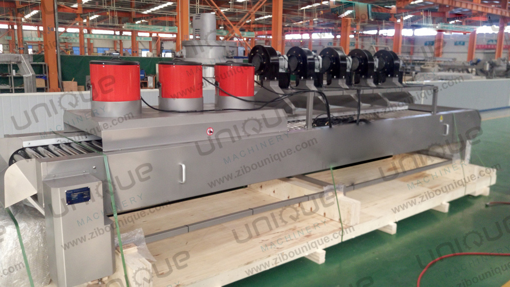 Hot Air Roller Belt Mesh Conveyor High Pressure Fans Air Dryer for Fruit and Vegetable