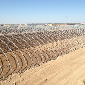 Wholesale Vegetable Fruits Flowers Winter Sunlight Solar Greenhouse Chinese Style from china suppliers