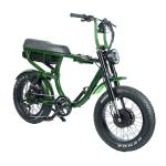 Disc Brake 1000W Retro Style 20inch Fat Tire Chopper Electric Bike for Beach