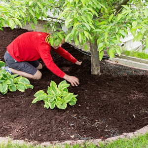 Say Goodbye to Weeds with Natural Grass Weed Control Mat PP Fabric Garden Root Barrier