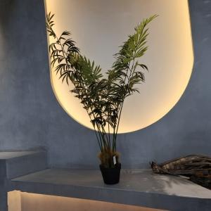 Wholesale Highly Realistic Lifelike UV Safe Faux Plants For Home Office Decor from china suppliers