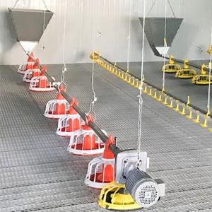 Wholesale 12 Birds 60HZ Poultry Farm Feeding System from china suppliers