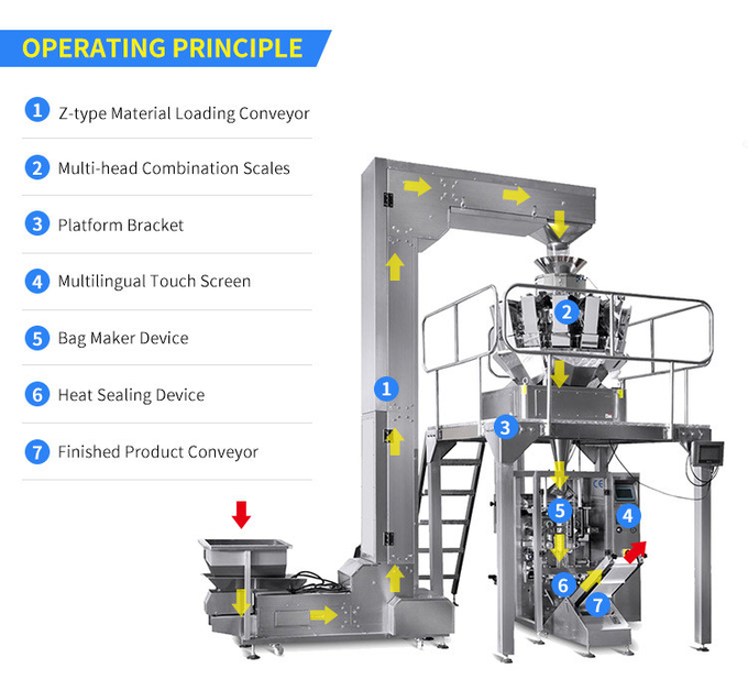 Back Sealing Automatic Pouch Packing Machine For Coffee Bean