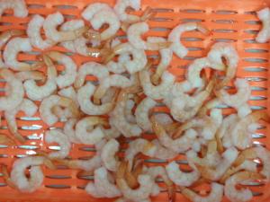 Wholesale Vannamei Shrimp Fresh Frozen Seafood Rich Magnesium And Calcium Phosphorus from china suppliers