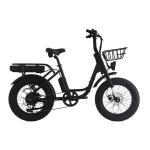 2024 Super Electric Hybrid Bike 20 inch Fat Tire e-bike for Woman 48V Smart