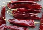 Seasoning Dried Guajillo Chili Peppers Pungent Flavor A Grade