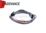 Factory Direct OEM ODM 6 Pin Male Female Pioneer Water Resistant Wire Harness