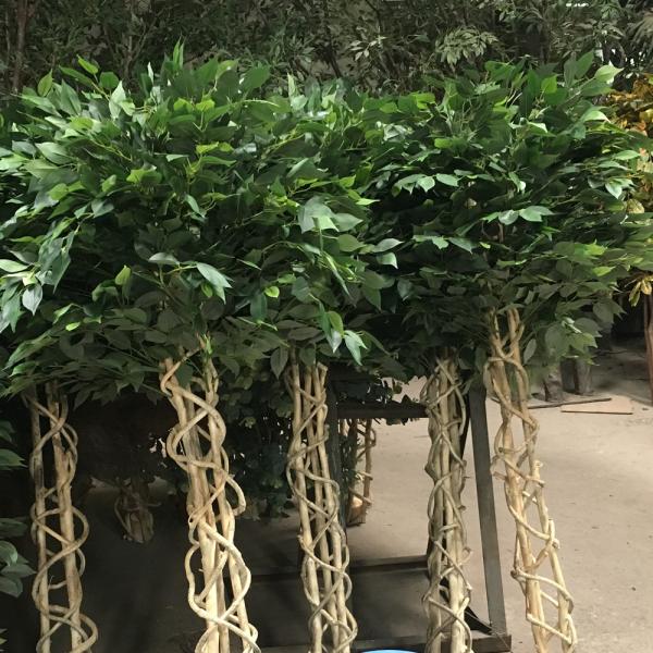 Indoor Office Hotel Store Artificial Potting Banyan Ficus Tree Wholesale Price