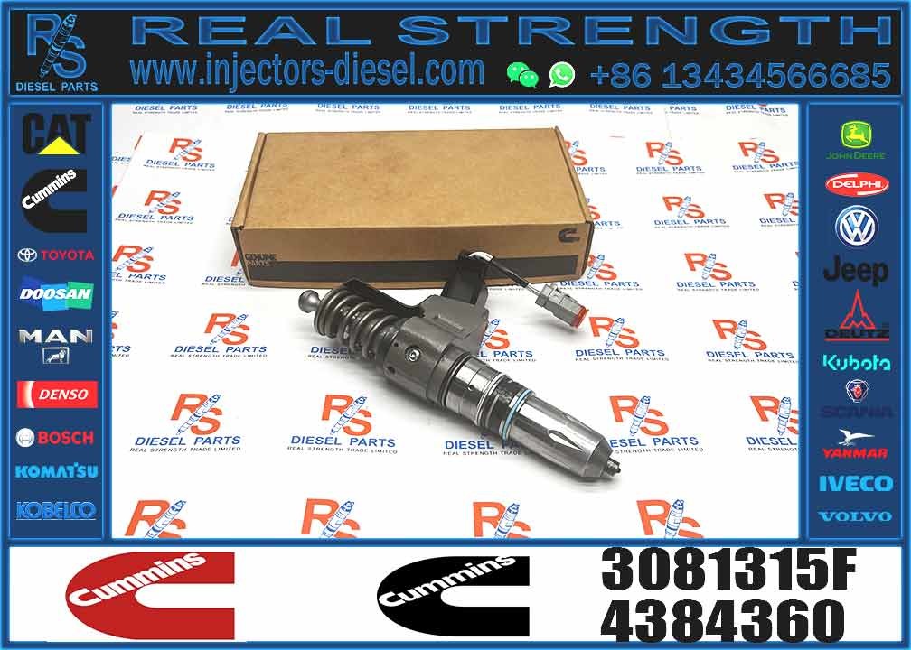 Auto Parts Common Rail Diesel Fuel Injector 3411760 3081315F 3409975 For Cummins QSN14 N14