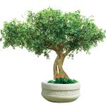 Height 300cm Artificial Realistic Fake Trees , Realistic Fake Trees All Season