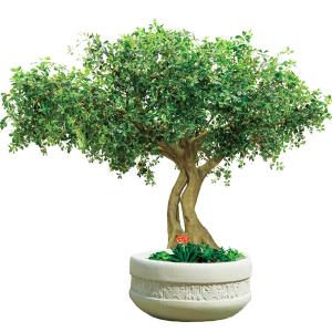 Wholesale Height 300cm Artificial Realistic Fake Trees , Realistic Fake Trees All Season from china suppliers