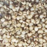 100% Pure Natural Steamed Job'S Tear Roasted For Drink