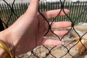 Wholesale 30mm*30mm Wire Rope Mesh Anti Rust Ferruled Stainless Steel Wire Rope Netting from china suppliers