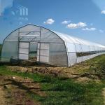 Agricultural Plastic Tunnel Greenhouse Hoop Greenhouse For Growing Vegetable